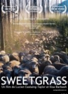 Sweetgrass