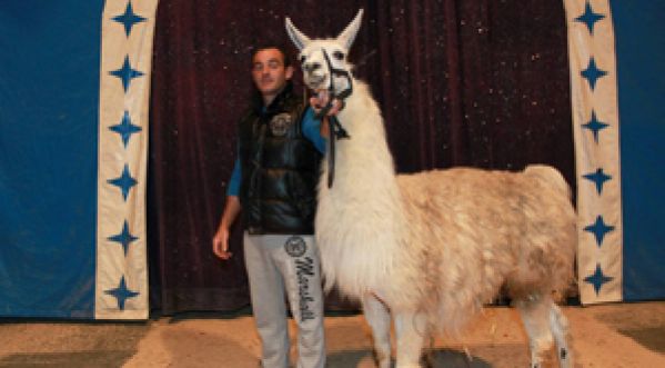 Serge le Lama dans la publicité des transports bordelais