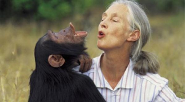 Un adieu touchant entre un chimpanzé et sa sauveuse