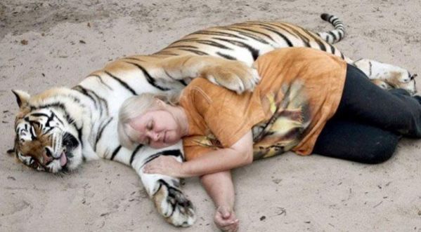 Elle élève deux tigres du Bengale dans son jardin !