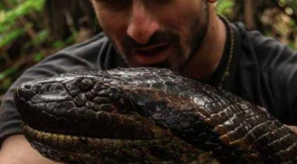 Nouvelle émission Il Se Fait Avaler Vivant Par Un Anaconda Géant Soonnight Le Mag 