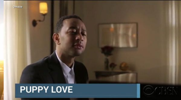 WTF? John Legend chante au mariage le plus ADORABLE que vous avez jamais vu!