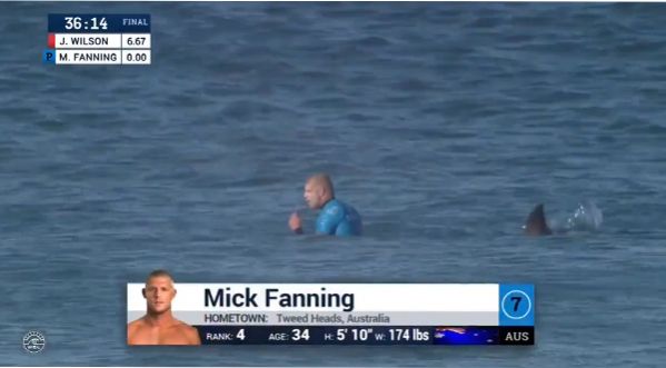 Le surfeur Mick Fanning attaqué par un requin en live !