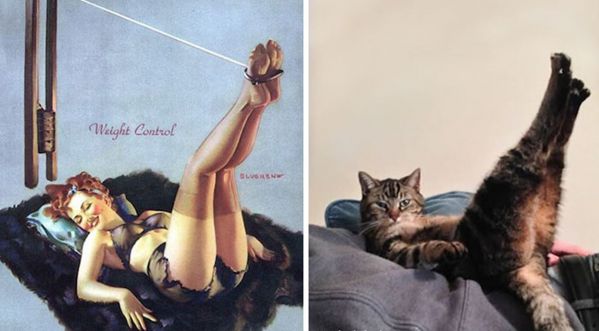 Des chats posent comme sur les photos de pin-up !