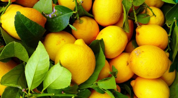 5 raisons d’utiliser et de manger du citron