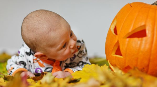 Halloween 2019 : La Fête de la citrouille à la Ferme de Gally