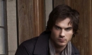 Le rebelle de Vampire Diaries dans le film Fifty Shades of Grey?