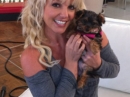 Britney Spears adopte un chien