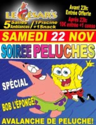 Soirée Peluches