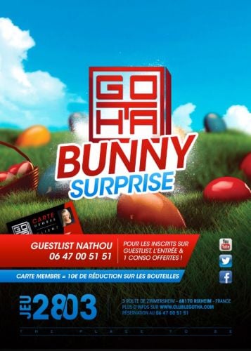 Bunny Surprise