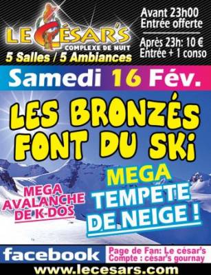 Les bronze font du ski