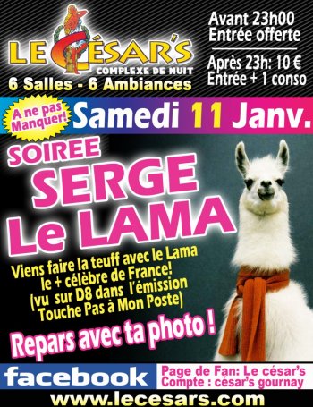 Serge le lama