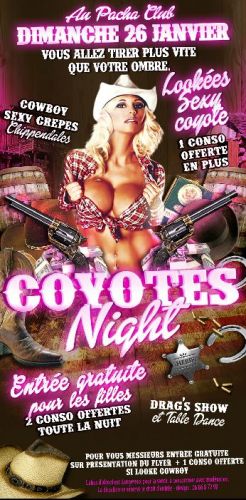 coyotes night