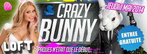 Crazy Bunny