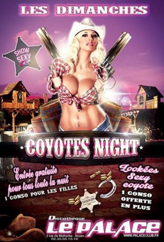 Coyotes Night