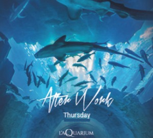 AFTERWORK @ AQUARIUM DE PARIS (NEFS)