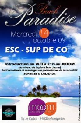 BEACH PARADISE SOIREE SUP DE CO