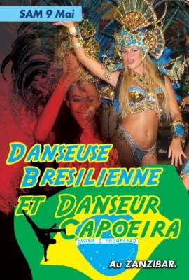 Danseuse Brésilienne Et Danseur Capoeira