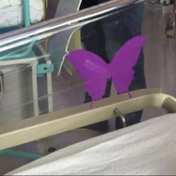 Voici l'affreuse signification du « papillon violet » sur les berceaux à la maternité, c'est trop triste !