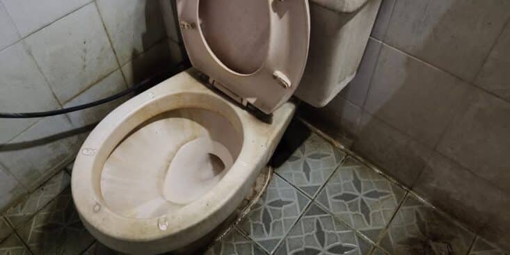 Cette méthode pas chère pour laisser vos toilettes sans taches ni saleté