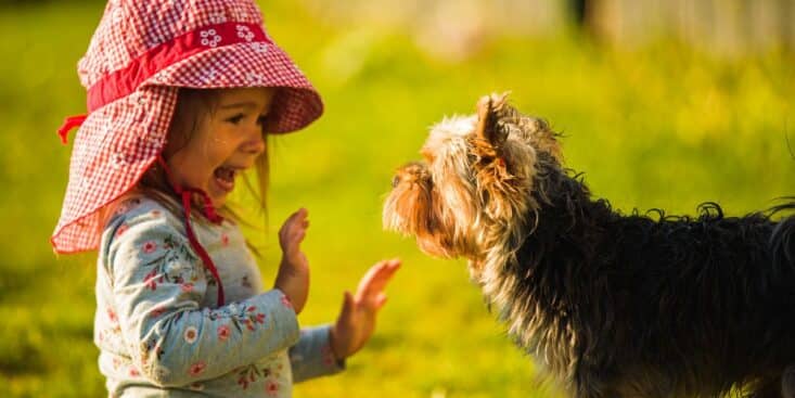 Les 3 meilleures races de chiens à avoir avec des enfants