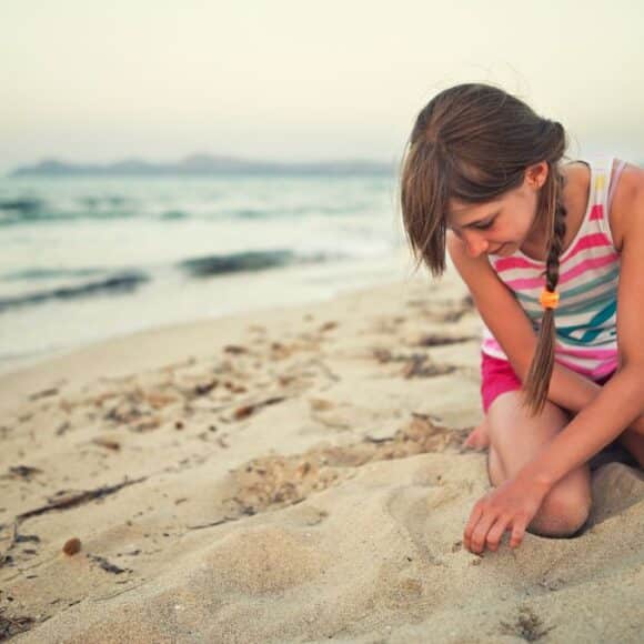 Vous ne pouvez plus les ramasser sur la plage, vous risquez une lourde amende