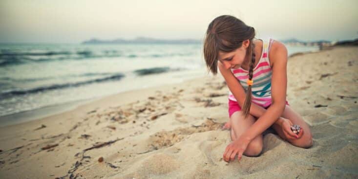 Vous ne pouvez plus les ramasser sur la plage, vous risquez une lourde amende