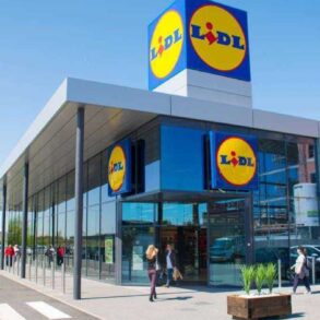 LIDL met fin au sapin de Noël classique avec ce nouvel arbre lumineux à moins de 20 euros