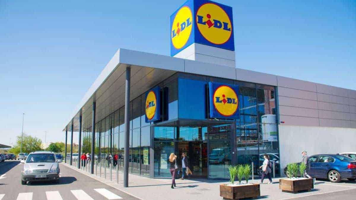 LIDL met fin au sapin de Noël classique avec ce nouvel arbre lumineux à moins de 20 euros