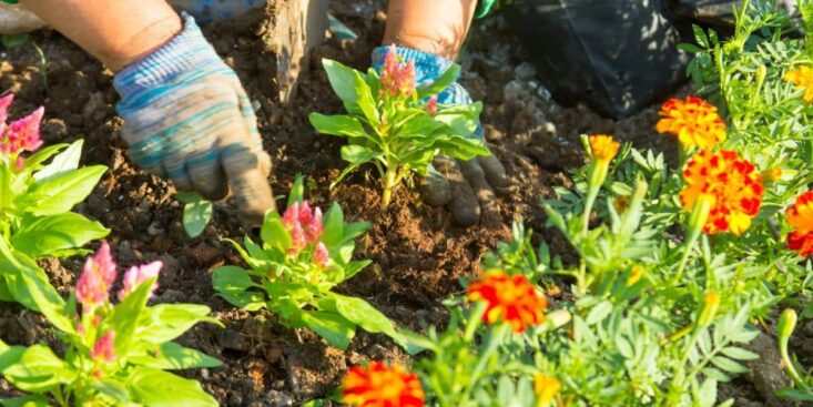 Une lourde amende si vous faites ça dans votre jardin après le 16 mars, c’est interdit